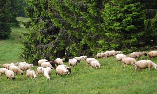 Незабравим Гергьовден
